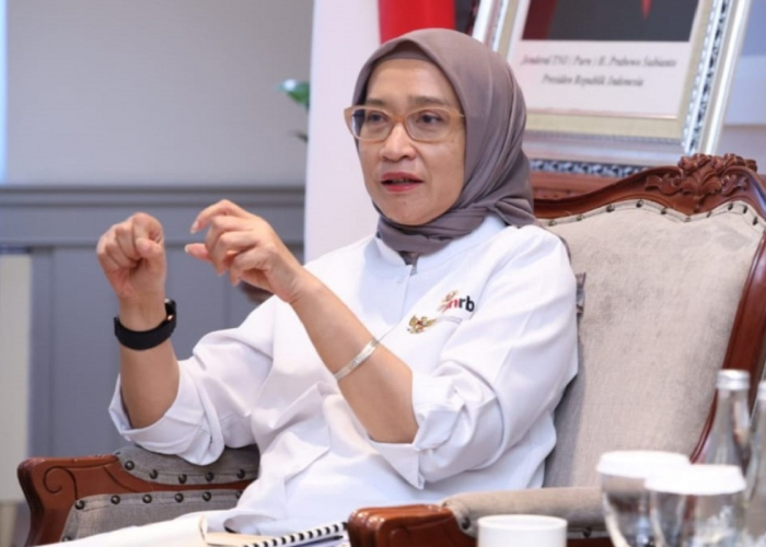 ASN se-Indonesia Wajib Baca Termasuk P3K PW, Simak Penjelasan Menteri Rini