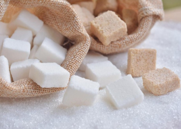 Pemerintah Hentikan Impor Gula Rafinasi, Tapi Hanya Sementara