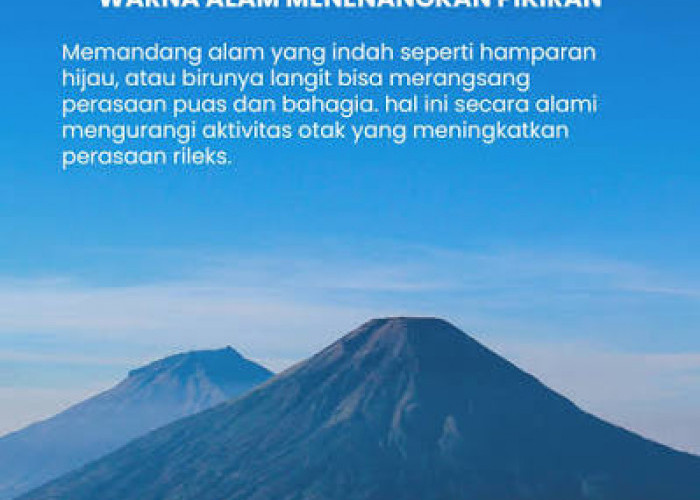Mana yang Lebih Baik untuk Menjernihkan Pikiran Akibat Stress Berlebih, Pantai atau Pegunungan?