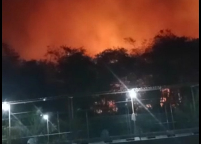 Lahan Tebu di Japura Bakti Cirebon Kebakaran