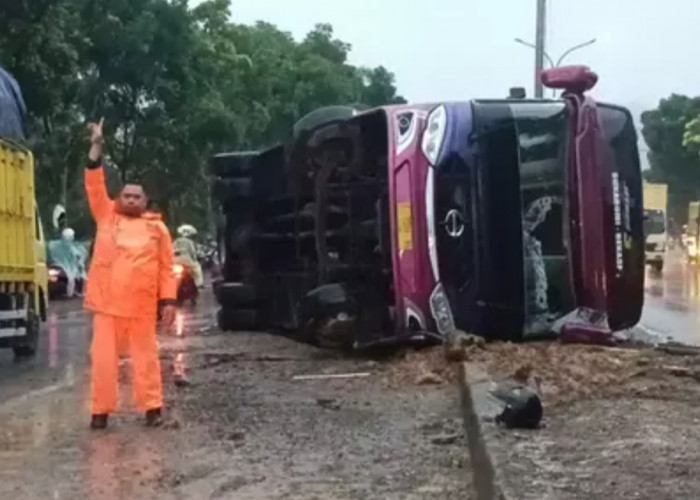 Penampakan Bus Jurusan Bekasi yang Terguling di Daerah Ini, Sopir Hindari Tabrakan