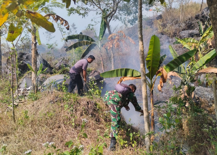 Kebakaran Hutan Melanda Gunung Ciremai, 30 Hektare Lahan di TNGC Kuningan Terbakar