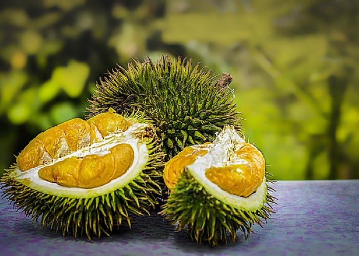 Inilah Beberapa Alternatif Atasi Mabuk Durian, Bisa Dicoba!