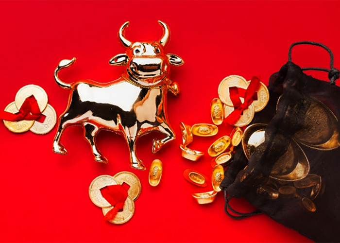 Siapa Lebih Beruntung? Ramalan Shio Kamis 11 Desember 2025 Tikus, Kerbau, Macan, dan Kelinci