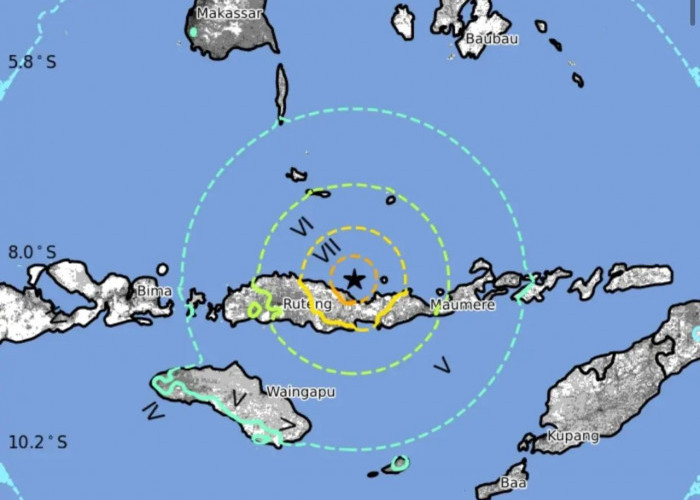 Gempa Besar M 7,7 Guncang Flores: Peringatan Tsunami Berakhir, Ancaman Longsor Mengintai