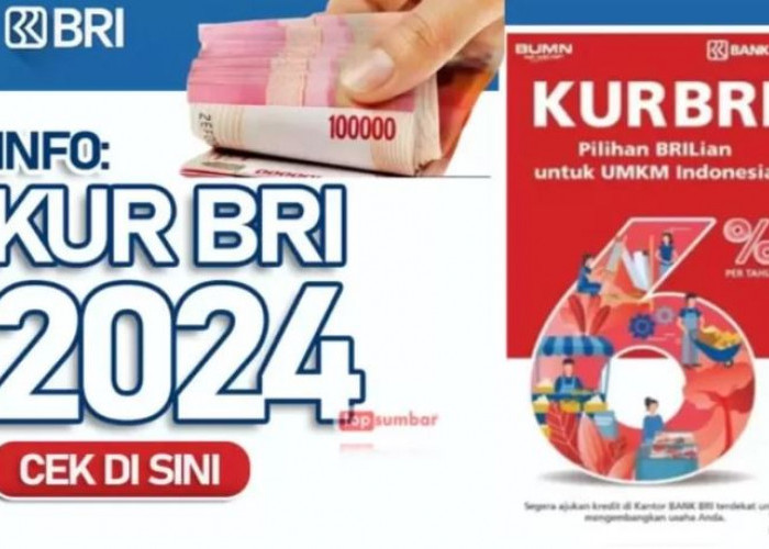 KUR BRI, Jadi 'Pahlawan' Permodalan UMKM 