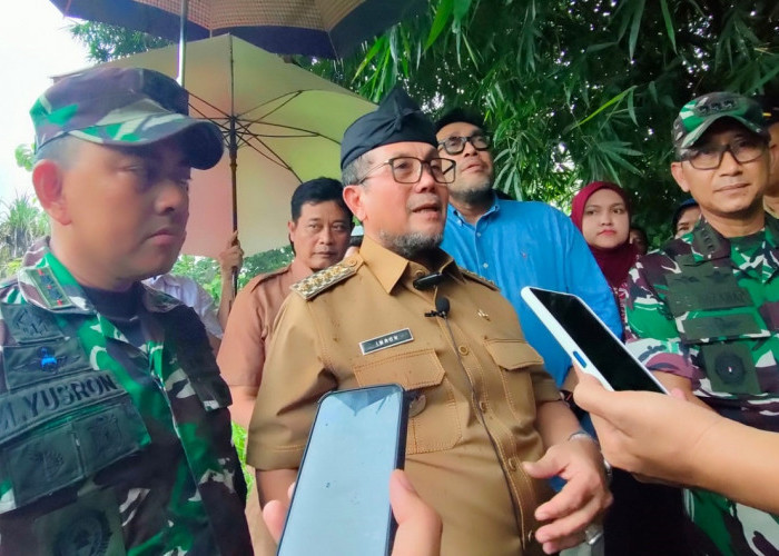 Ratusan Pohon Kelapa Sawit Ilegal di Cirebon Dicabut, Pemkab Siapkan Solusinya