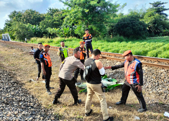 Sesosok Mayat Pria Tergeletak di Rel KA Cirebon, Diduga Korban Tersambar Kereta Bangunkarta