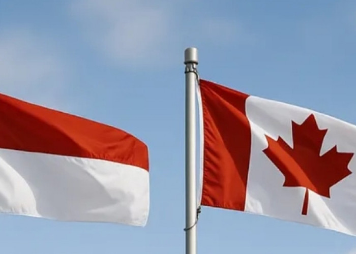 Heboh! Senator Kanada Ungkap Peran Besar Indonesia di Panggung Global