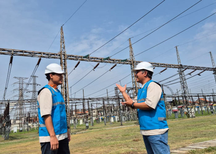 Layang-Layang dan Pohon Jadi Gangguan Eksternal Utama PLN UIT JBT