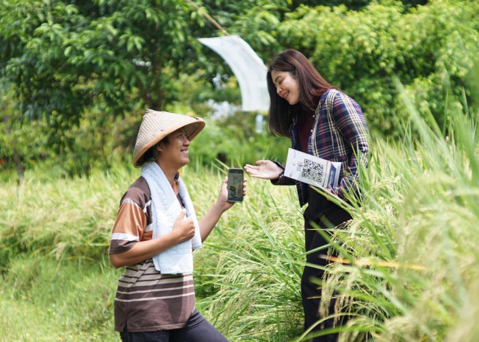 BRI Salurkan KUR Rp178,08 Triliun Sepanjang Tahun 2025, Lebih dari 60 Persen Mengalir ke Sektor Produktif  