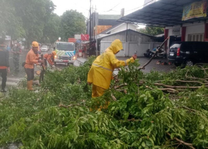 Angin Kencang di Cirebon dan Sekitarnya Akibat Siklon Tropis TALIAH, Begini Penjelasan BMKG