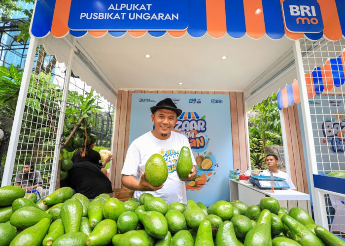 Petani Ini Berhasil Kembangkan Budidaya Alpukat, Berkat Pemberdayaan BRI Klasterku Hidupku