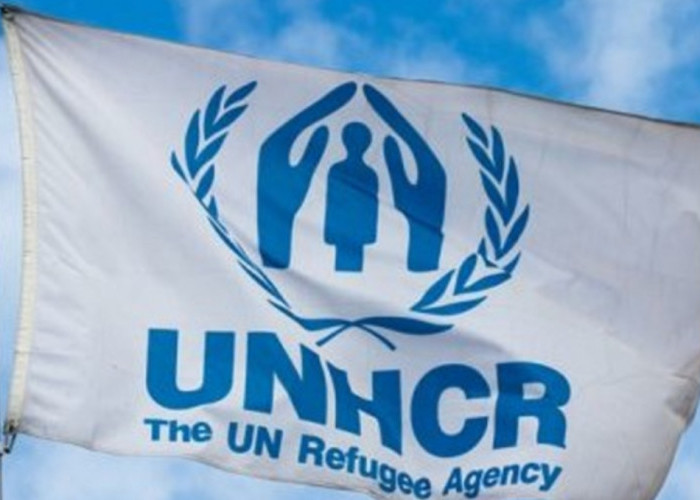 Pengungsi Rohingya Datangi Indonesia, Begini Keterangan UNHCR 