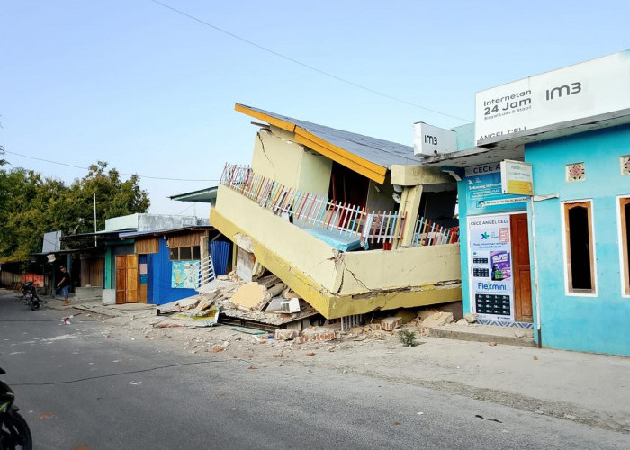 Update Gempa NTT M 7,7: Korban Tewas Jadi 47 Orang, Ratusan Rumah Rusak