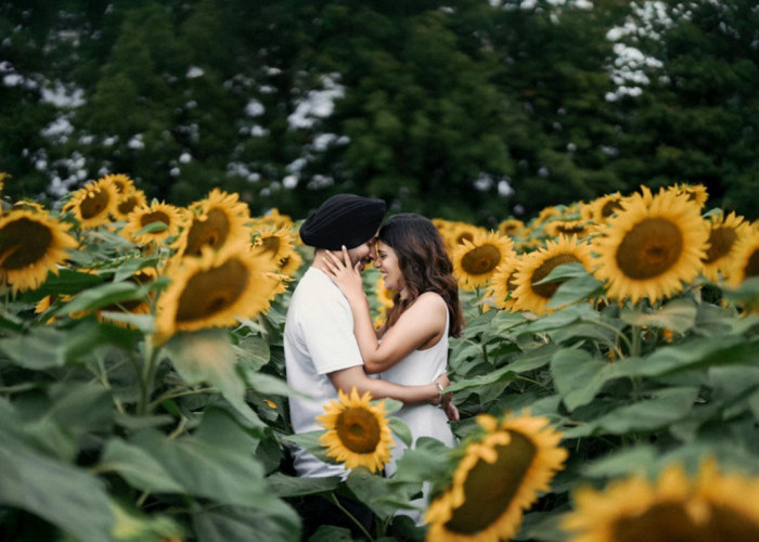 Pasangan LDR Wajib Coba! 3 Prompt Gemini AI Edit Foto Berdua Romantis di Pantai, Gunung, dan Taman Bunga 