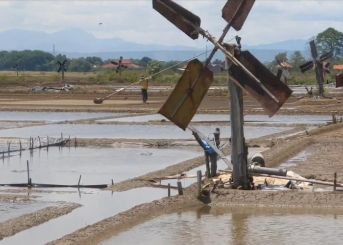 Musim Hujan, Petani Garam di Kabupaten Cirebon Tidak Berproduksi