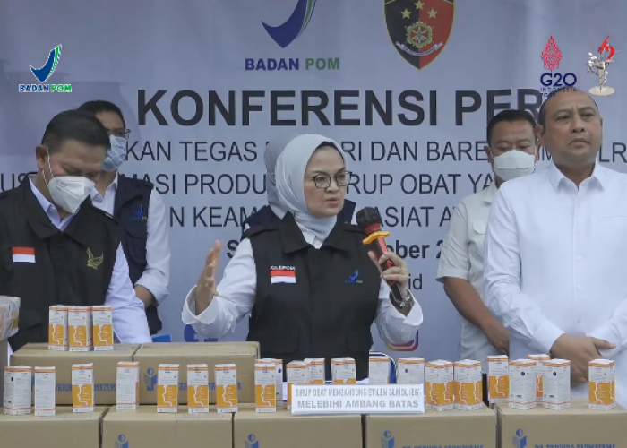 Inilah Penyebab Masuknya Bahan Baku Farmasi yang Memicu Kasus Gagal Ginjal Akut di Indonesia