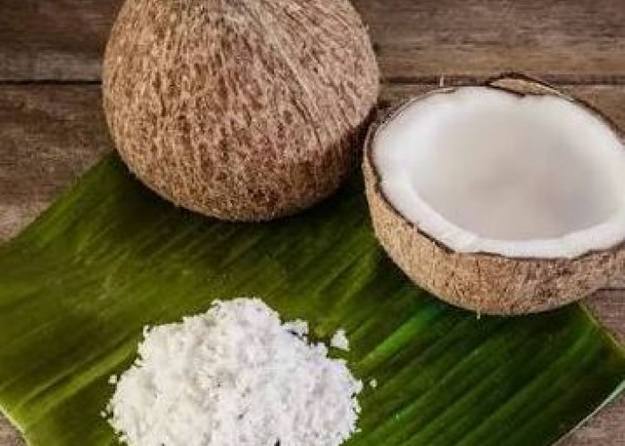 Dari Sisa Dapur Jadi Berguna, Ini Manfaat Ampas Kelapa untuk Tanaman dan Rumah Tangga