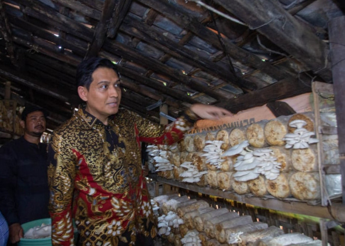 Bupati Lucky Hakim Apresiasi Lumbung Pangan Gratis dan Budidaya Jamur Desa Malangsemirang