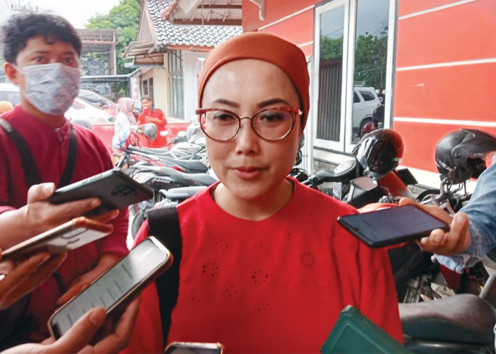 PDIP Usung Selly-Imron di Pilbup Cirebon? Aan dan Ali Jahari Beri Jawaban