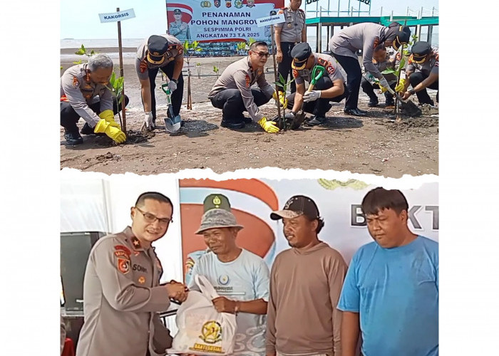 Peduli Lingkungan, Sespimma Polri Tanam Mangrove di Pantai Kejawanan Kota Cirebon 