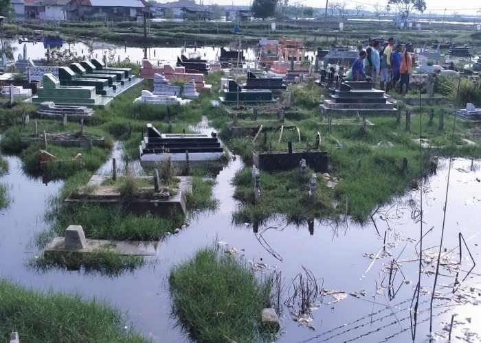 PENAMPAKAN Makam Terancam Tenggelam di Kandanghaur Indramayu, Banjir Rob Terus Mengancam