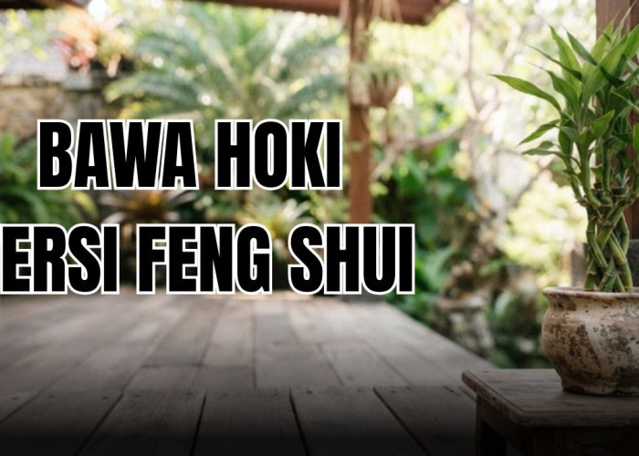 5 Tanaman Hias Pembawa Hoki Menurut Feng Shui Ini Bisa Bawa Keberuntungan Untuk Keluarga Kamu!