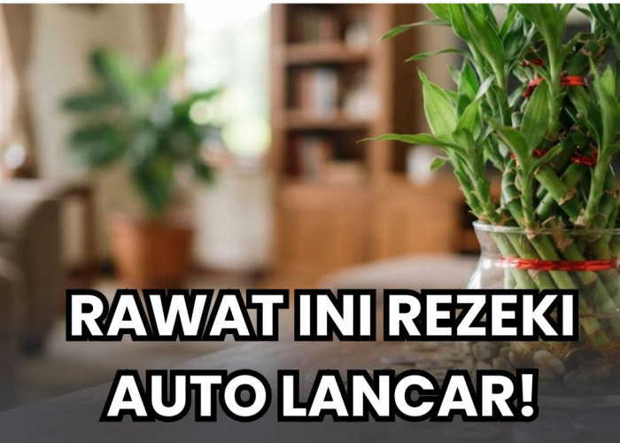 Daftar Lima Tanaman Hias Pembawa Rezeki Menurut Feng Shui yang Bisa Kamu Rawat, Dijamin Super Mudah!