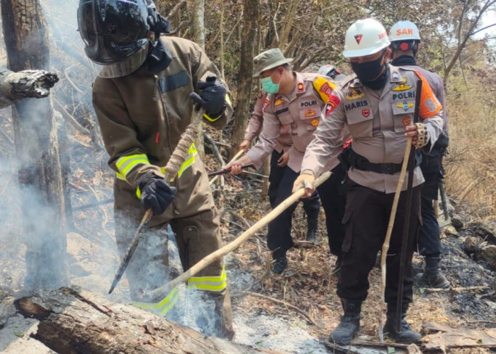 Kebakaran Hutan Gunung Ciremai Terjadi di 8 Blok, Luas Area yang Terbakar Diperkirakan 56,9 Hektare