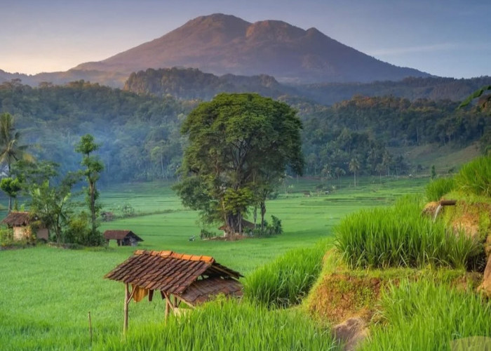 7 Aktivitas Seru Ini Bisa Dilakukan di Desa Wisata Bantaragung Majalengka