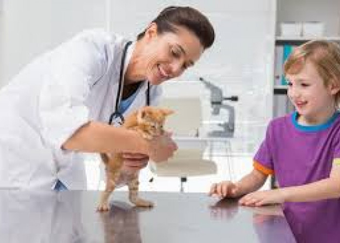 Rahasia 'di Balik Layar' Komunikasi Kesehatan: Mengapa Komunikasi Dokter Hewan Sangat Krusial & Sering Terabai