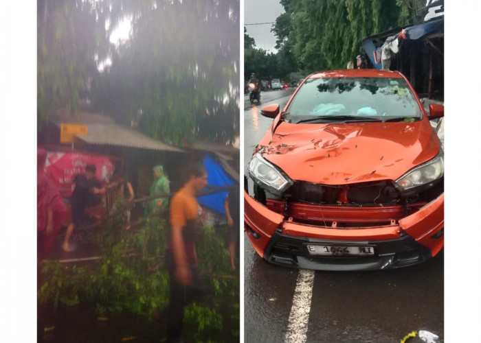 Hujan dan Angin di Cirebon Sebabkan Pohon Tumbang, Satu Unit Mobil Jadi Korban