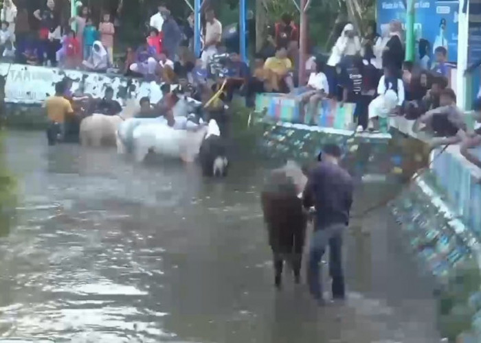 Ritual Kliwon dan Tahun Baru Islam, Memandikan Kuda di Sungai Surakatiga Kuningan