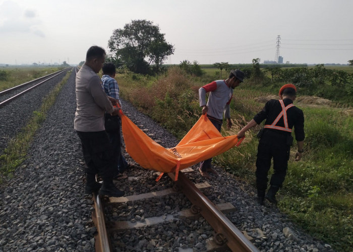 Pria Tanpa Identitas Tewas Tertemper Kereta Api di Desa Pangenan Cirebon