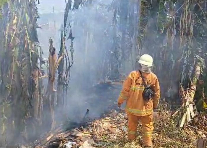 BREAKING NEWS: Kebakaran Lahan Kosong Terjadi Lagi, Kali Ini di Dekat Untag Cirebon, Gara-gara Sampah