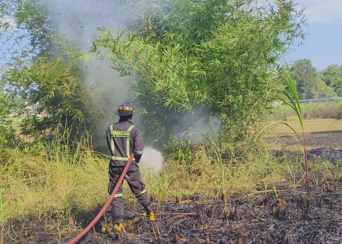 Atasi Pengangguran, Kuningan Ubah Lahan Kritis di Wilayah Timur Jadi Kawasan Peruntukan Industri