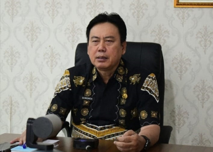 Wong Reang Apps, Cara Diskominfo Indramayu Kembangkan UMKM lewat Aplikasi