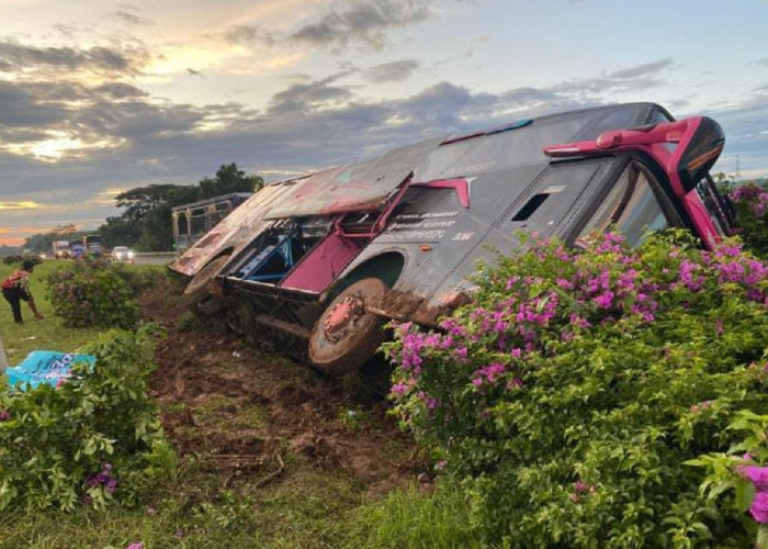 Kecelakaan Tunggal Bus Tunggal Jaya di Tol Palikanci Cirebon