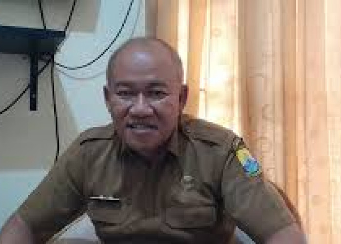 BKPSDM Tegaskan Honorer Tanpa NIP Tak Punya Dasar Hukum Digaji APBD