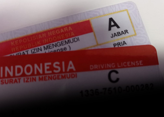Jenis SIM di Indonesia Berikut Fungsinya 