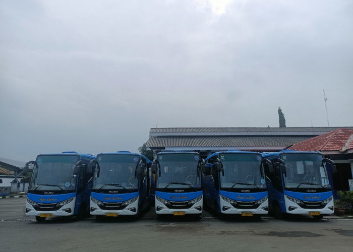 Dishub Kaji Pengelolaan BRT, Fokus pada Pemanfaatan untuk Masyarakat