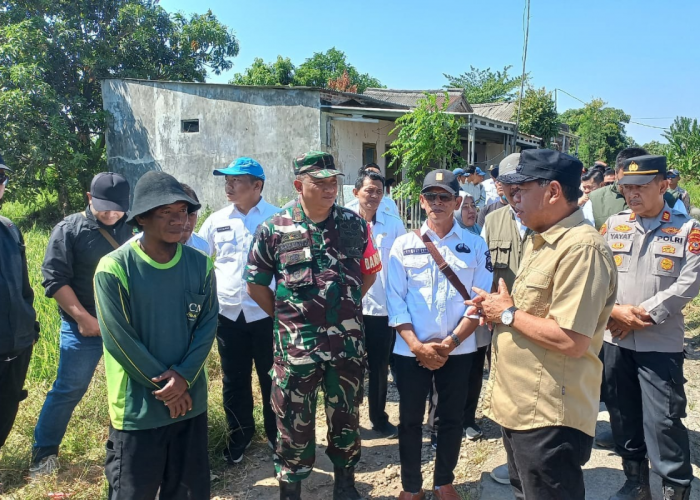Miris! 72 Hektare Sawah di Majalengka Gagal Panen, Bupati Turun ke Lokasi, Ada Solusi?
