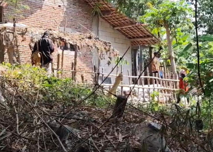 Ancam 45 Rumah, Warga Sukagumiwang Indramayu Mendesak Penanganan Permanen Longsor Sungai Cimanuk