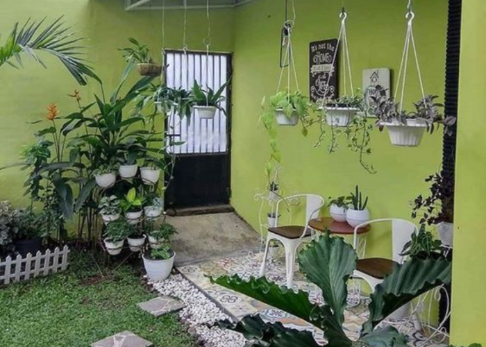 7 Tanaman Hias Ini Tidak Baik Ditanam di Depan Rumah, Membawa Sial dan Bala ke Pemilik Hunian