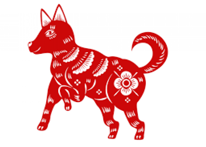 Ramalan Shio Anjing di tahun Kelinci Air 2023