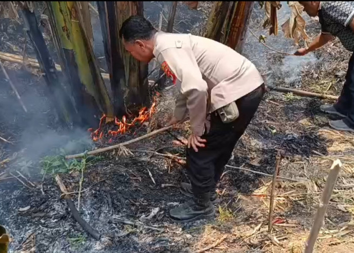 Diduga Berawal dari Pembakaran Sampah, Lahan Kosong di Bongas Wetan Terbakar
