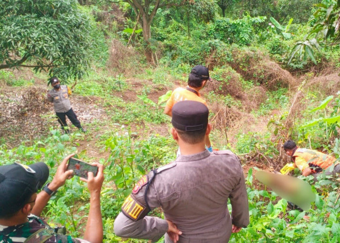 Terdapat Bekas Gigitan Hewan, Penemuan Mayat di Hutan Gunung Pasir Maja