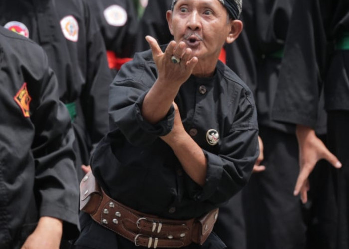 Peringati Hari Pencak Silat, Jawa Barat Konsisten Lestarikan Warisan Budaya