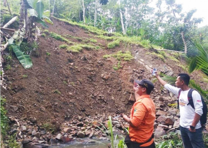 Hujan Deras Picu Longsor di Desa Tangkolo Kuningan, Sungai Ciawi Tersumbat dan Lahan Warga Terendam